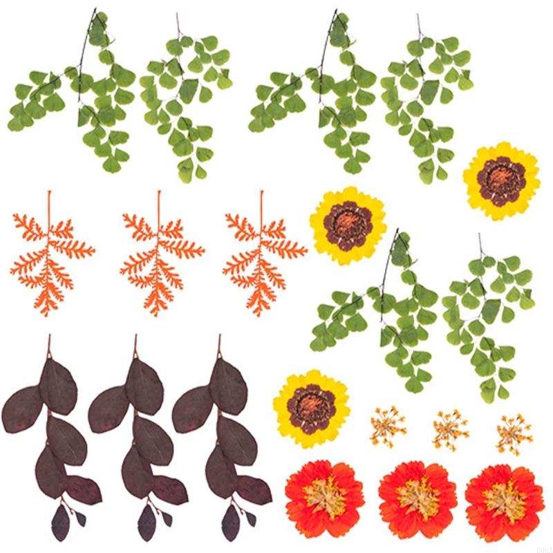 Fiori pressati essiccati per s - Art Craft With Leaves recensione e prezzo
