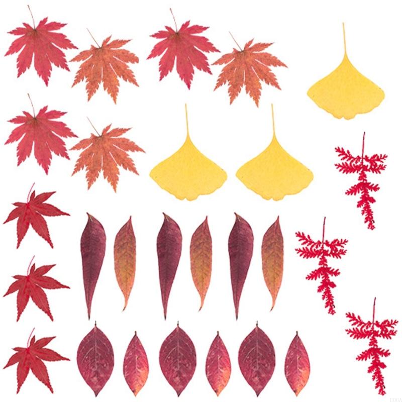 Fiori pressati essiccati per s - Art Craft With Leaves recensione e prezzo