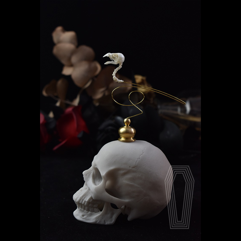 2111 Scultura Artistica di Cra - Art Craft Museum recensione e prezzo