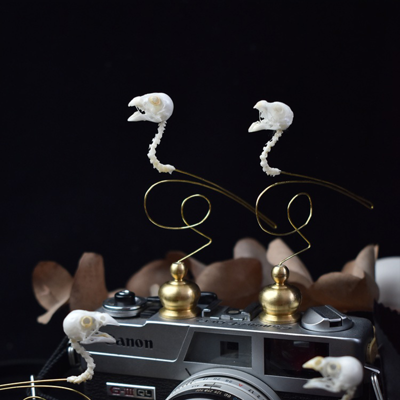 2111 Scultura Artistica di Cra - Art Craft Museum recensione e prezzo