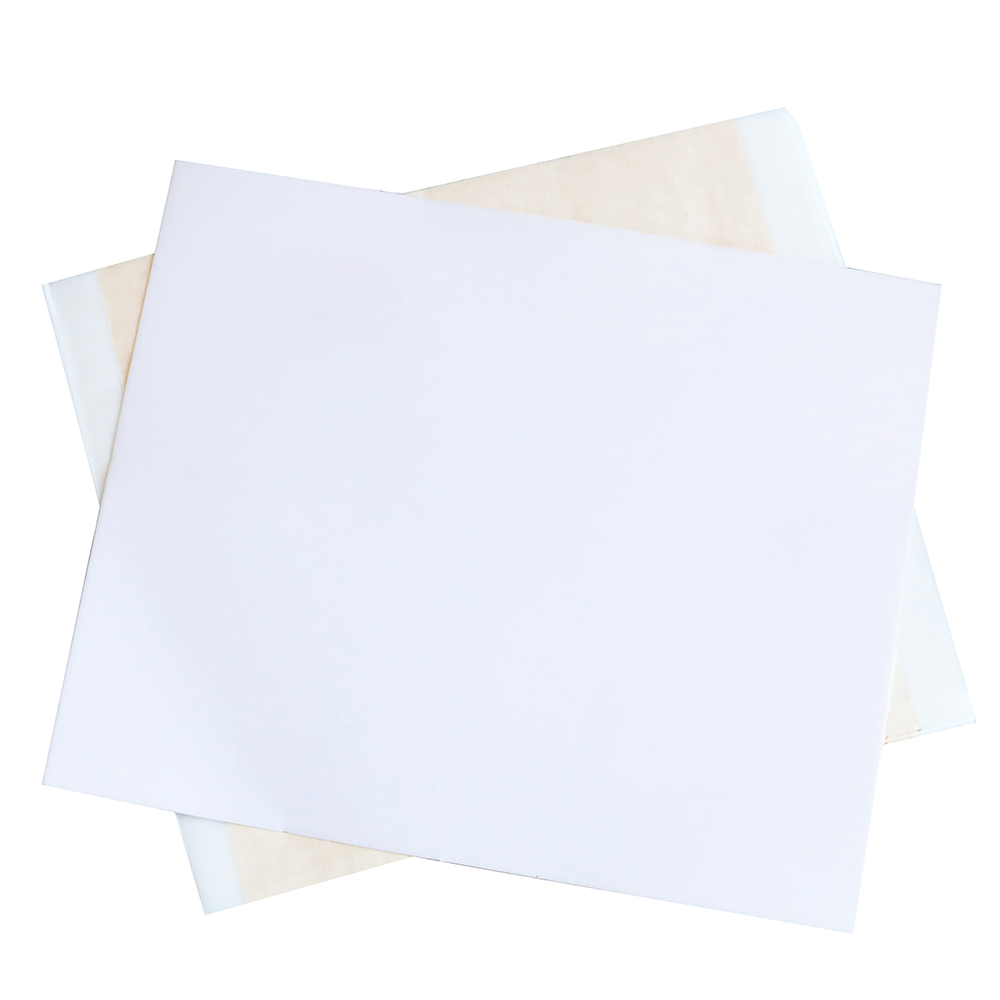 13x13,5 cm Champagne Foglio d' - Art Craft With Leaves recensione e prezzo